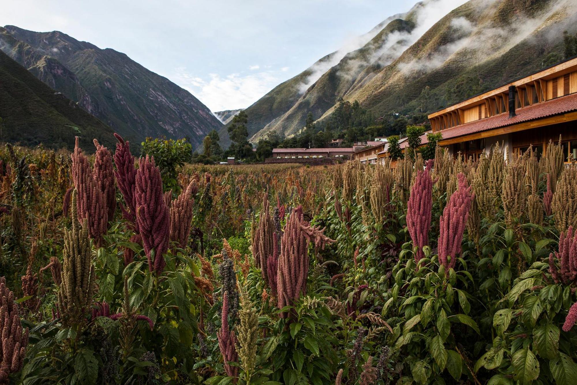 Explora Valle Sagrado Urubamba Ngoại thất bức ảnh